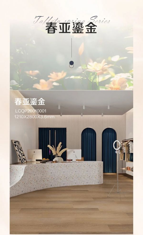 Luxury Property Image 4