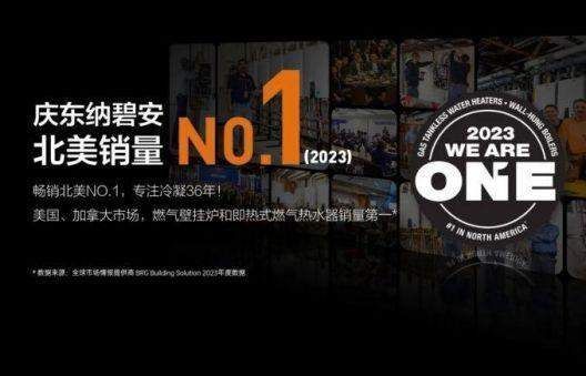 慶東納碧安全球市場布局圖片