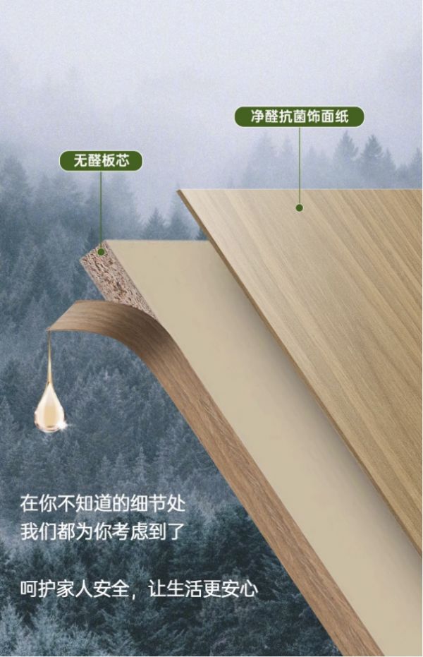安醛板3.0示例