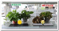 醇凈守護(hù) 健康無(wú)憂！“全能戰(zhàn)士”醇型密封膠 成行業(yè)新寵