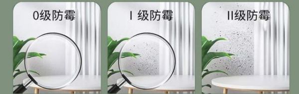 兒童漆抗菌防霉特性
