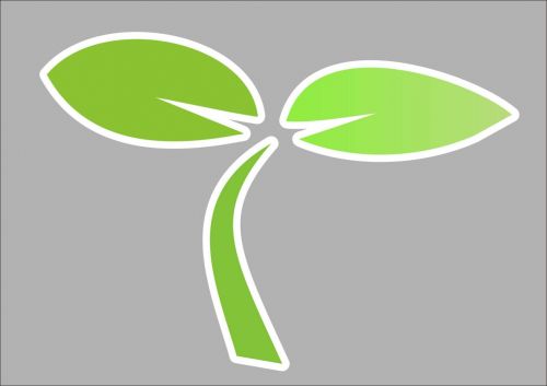 Lvyashu Technology Brand Reputation