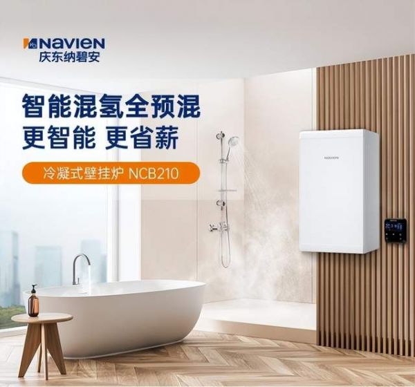 庆东纳碧安NCB210冷凝炉