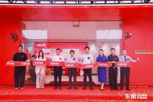 Dongpeng Ceramics Policy Strategy