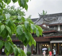 梅雨季家居防潮难题破解:子固家板材为您筑就安心家居