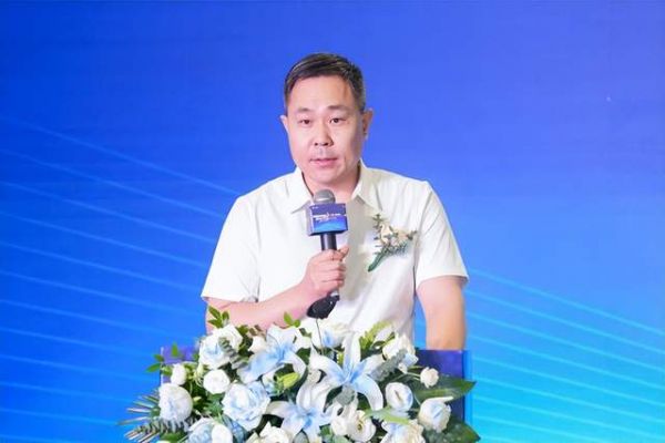 丁輝秘書長發(fā)言