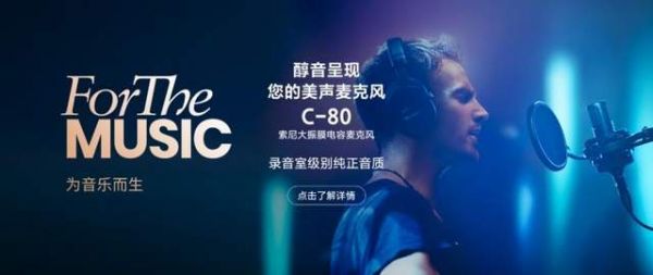 索尼麦克风C-80图片