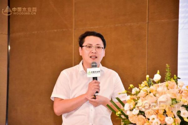 四冠加冕！兔寶寶以品質(zhì)匠心破局，定義板業(yè)高質(zhì)量發(fā)展新范式
