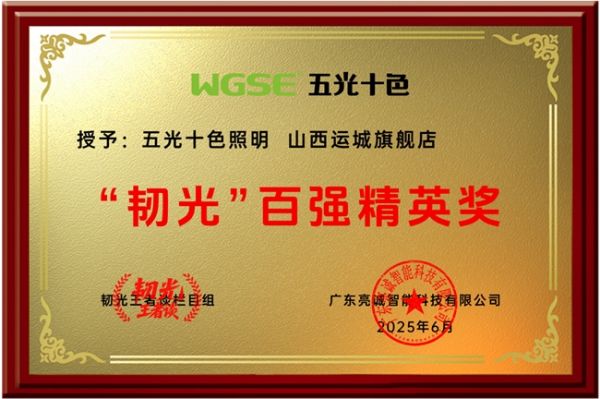 Wuguang Shisei Lighting Achievement Image