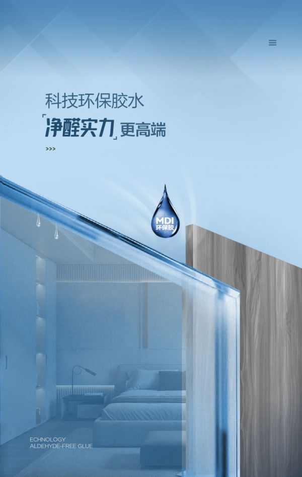 大王椰環(huán)保標準認證圖