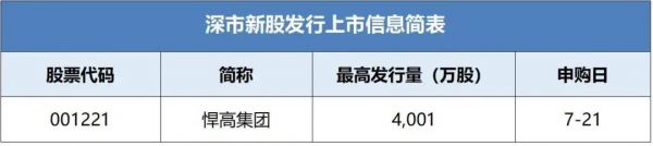 悍高集團(tuán)招股書圖片