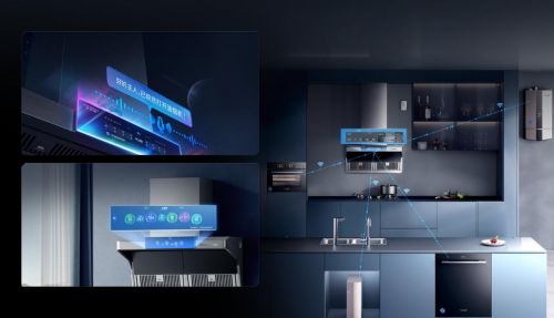 A.O. Smith Smart Oven