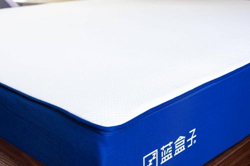 BlueBox Mattress