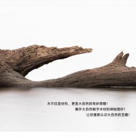 家柏晶石晶系列人字拼地板：把森林搬進家，靜賞歲月美好