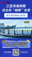 聯(lián)塑網(wǎng)箱抗臺表現(xiàn)優(yōu)異