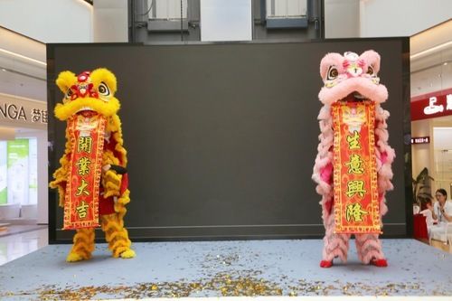 龍獅團(tuán)隊(duì)?wèi)c賀