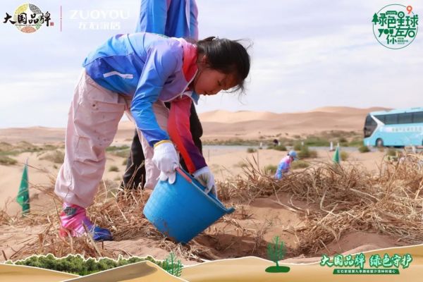 左右沙發(fā)騰格里沙漠種樹植心活動
