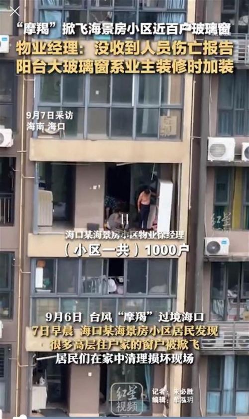 2024年媒体报道新闻截图