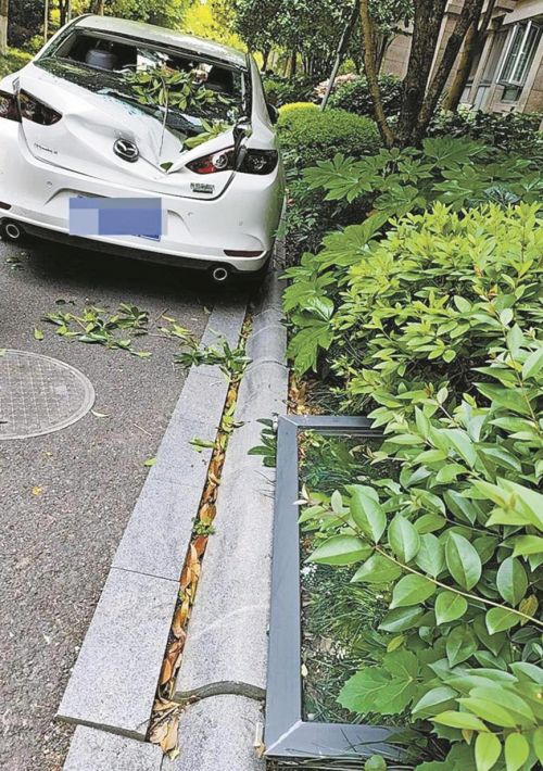 宁波某小区窗户坠落事件