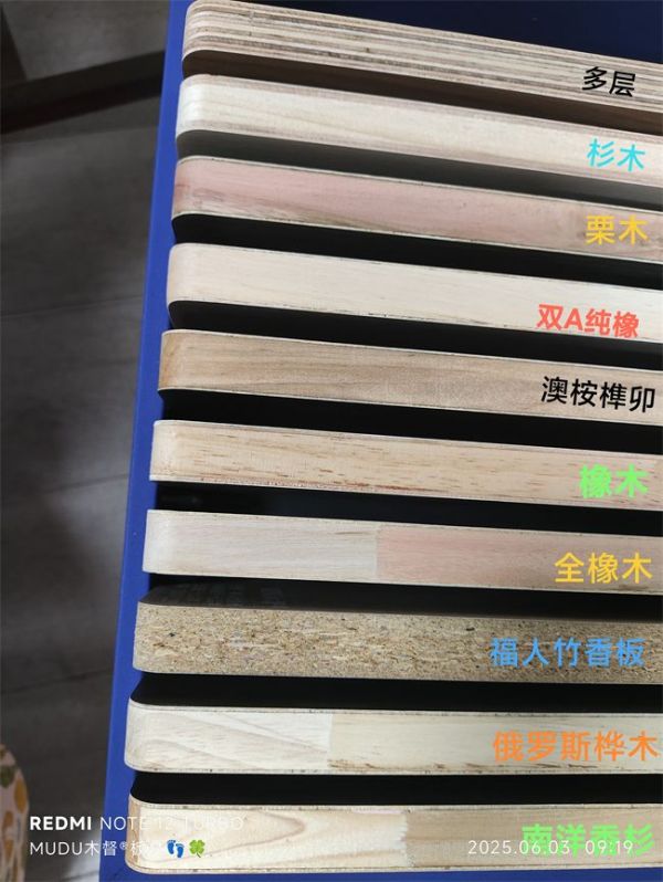 俄羅斯樺木
