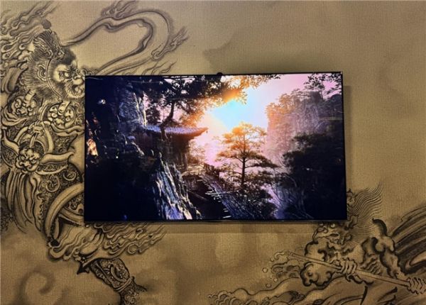 Cologne Game Fair with Hisense TVs
