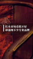 林伟华谈红木市场:逆境中品牌涌现
