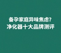 除甲醛除烟味，备孕除味神器大测评