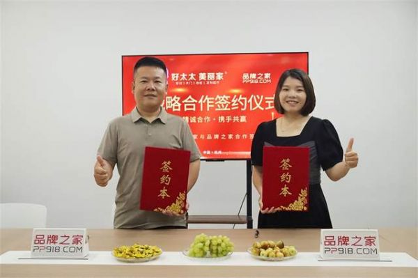 好太太美丽家与品牌之家未来合作展望