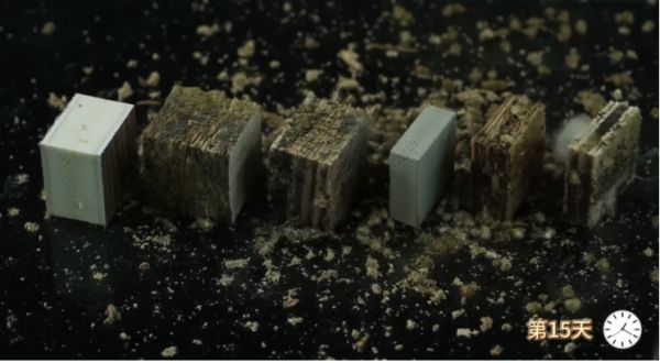Lamett乐迈石晶与其他柜体板对比进行的防霉防蛀实验测试