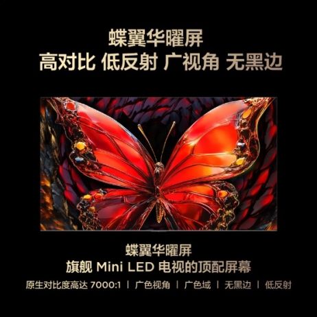 TCL Q10L Pro Display Quality