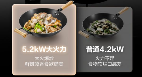 樱花燃气灶JZT/Y-S507GA性能展示