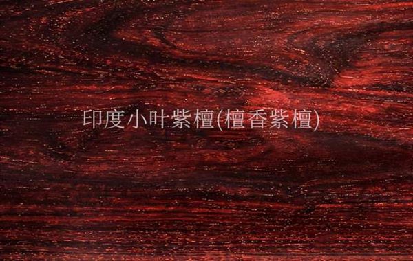 印度小叶紫檀