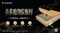 兔宝宝新品|木素植物胶板材，用环保+强韧诠释真・实力派