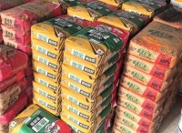 泥工师傅力荐：地宝瓷砖胶信得过