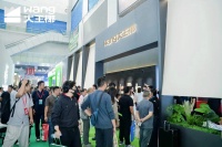 大王椰抢占“美”的制高点，引发木博会3万人“用脚投票”