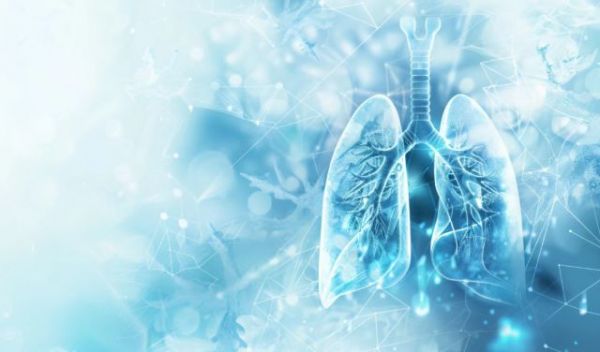 Legionella bacteria in water systems