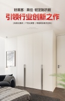 好莱客·莱住——“轻定制”模式的真正定义者与验证者