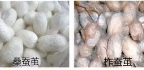 Silk Comforter Quality