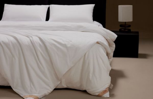 Silk Comforter Design