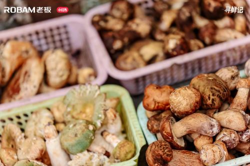 寻鲜记活动图片
