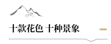 地脉釉工艺