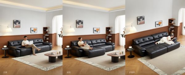 Bed Sofa Details