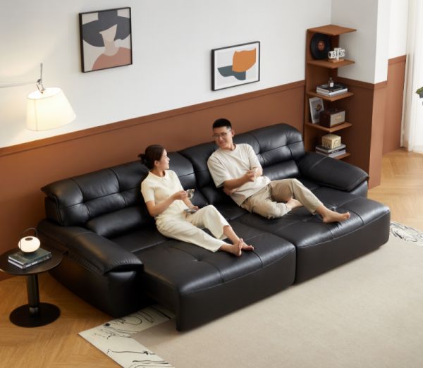 Bed Sofa