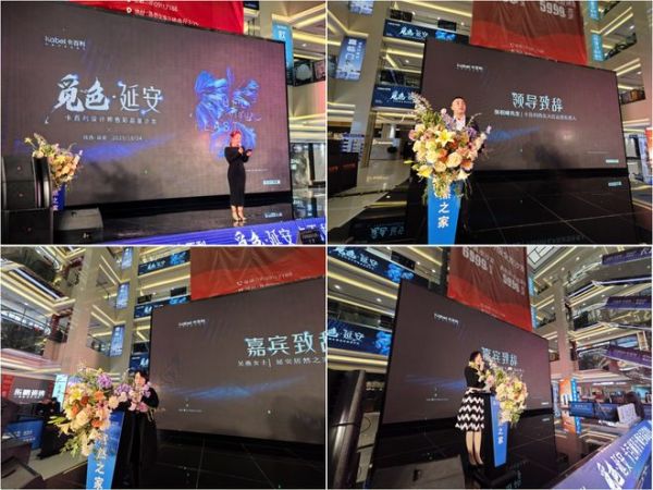 嘉宾发言照片
