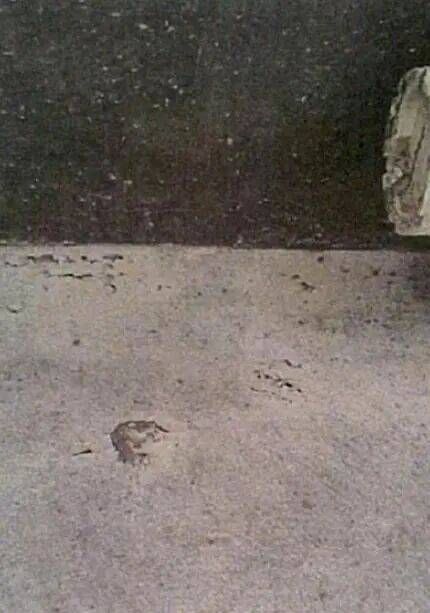 防水膜层破坏示意图