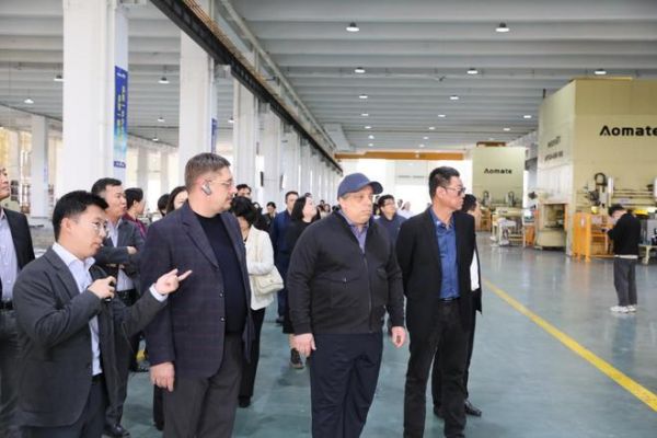 International observers visiting Meida