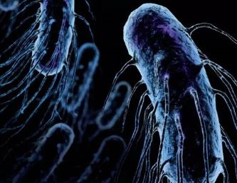 劣质管材问题图片