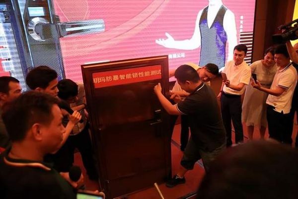 玥玛防暴智能锁电子防护