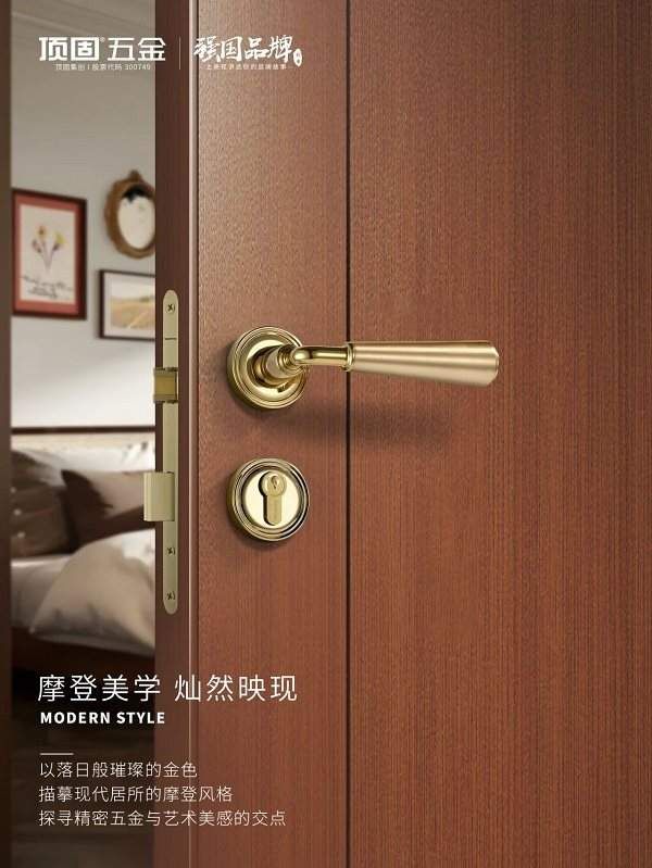 TopSolid Telescope Series Door Locks Features