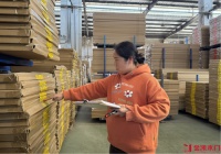 郑菊仙金凯十七载：共赴繁花之旅